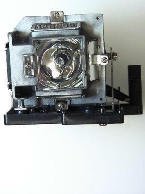 <span class="warranty">ORIGINAL PHILIPS bulb in a high quality housing for LG DX420-JD <br/> 12 Month Warranty</span>
